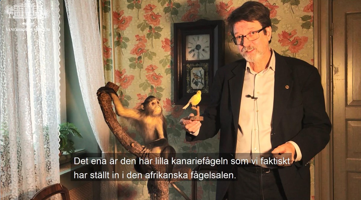 Peter Johansson berättar om apan Jim och kanariefågeln