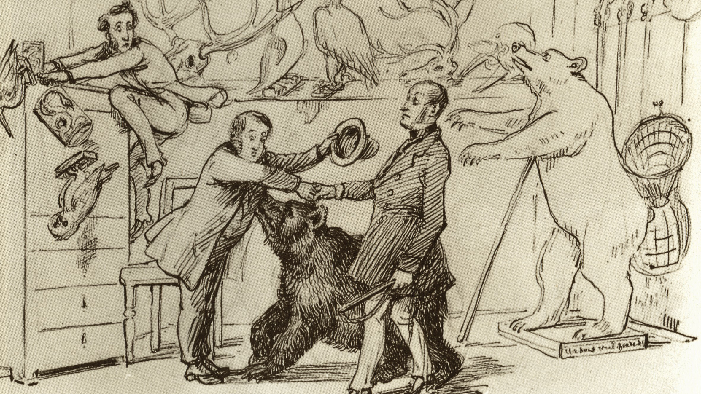 Teckning. Man med björn och uppstoppade djur hälsar på annan man. 