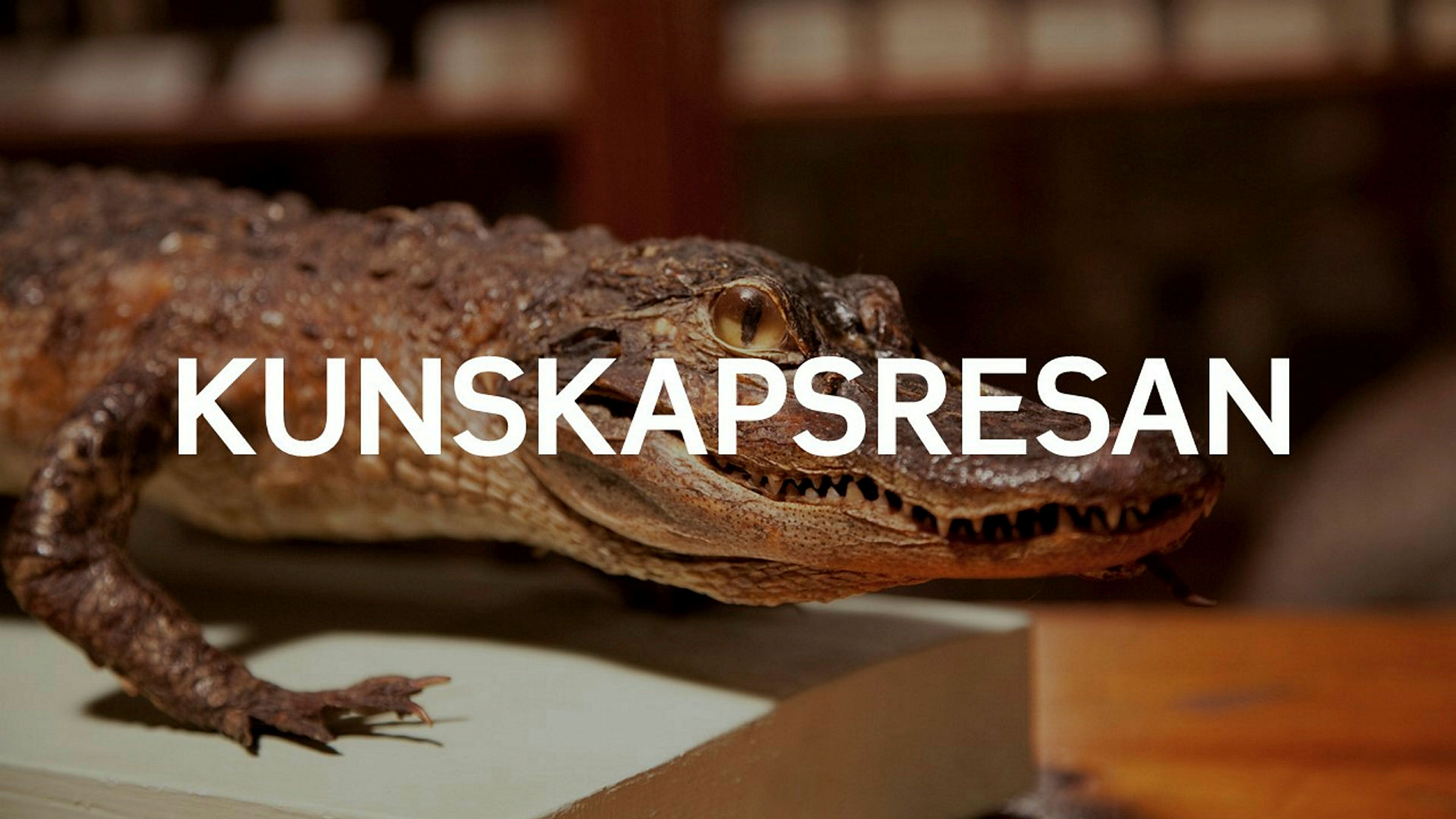 Kunskapsresan, en del av den nya basutställningen