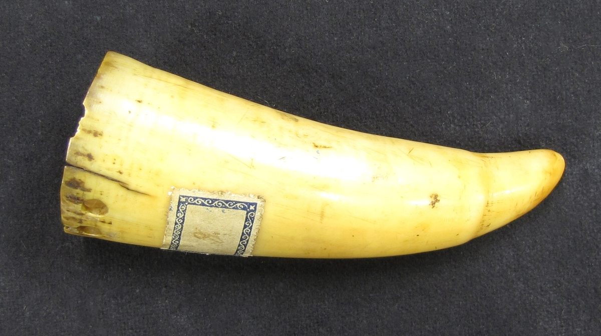 Ett horn med en etikett fastklistrad.