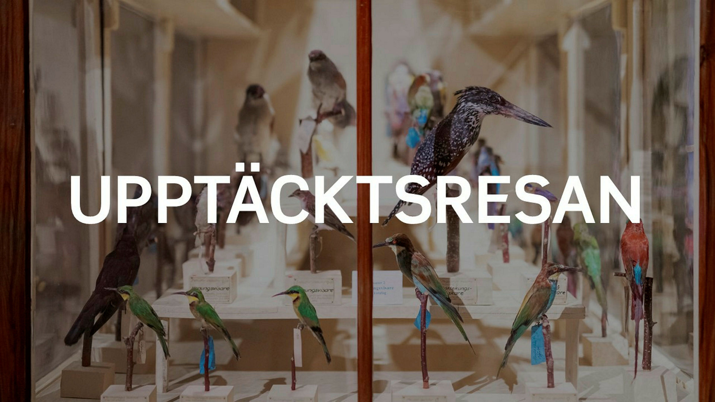 Upptäcktsresan. en del av den nya basutställningen