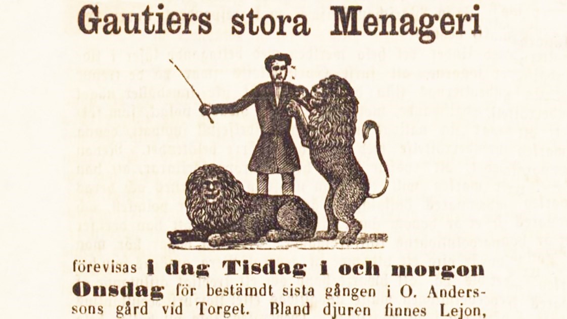 Annons för ett menageri med en man med två lejon.