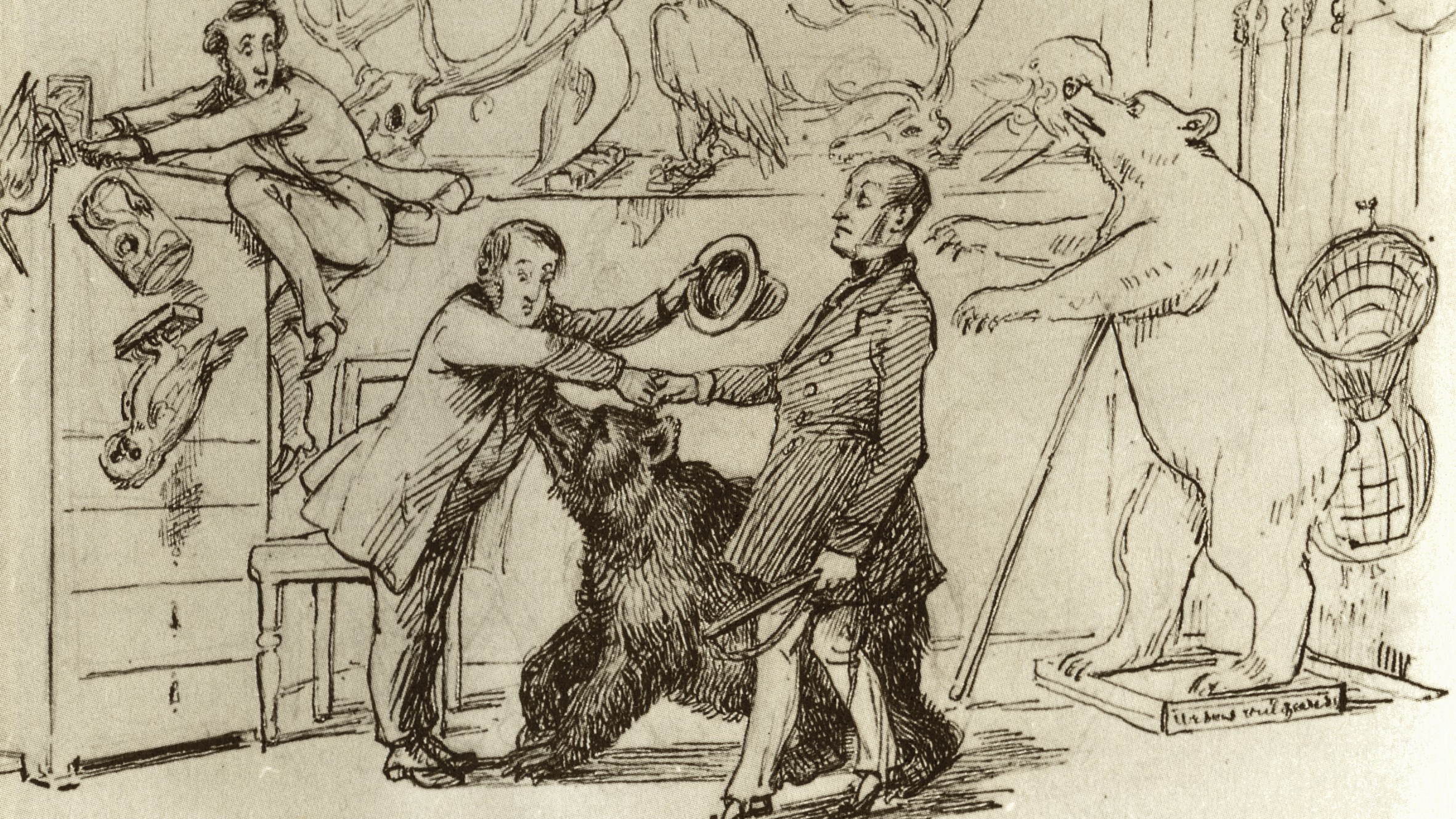 En gammal teckning i blyerts. Föreställer en scen på vad som förmodligen ska föreställa ett museum,där en björn kommer kopplad med en man, Llwellyn Lloyd. En man är rädd och hoppar upp på en byrå. 