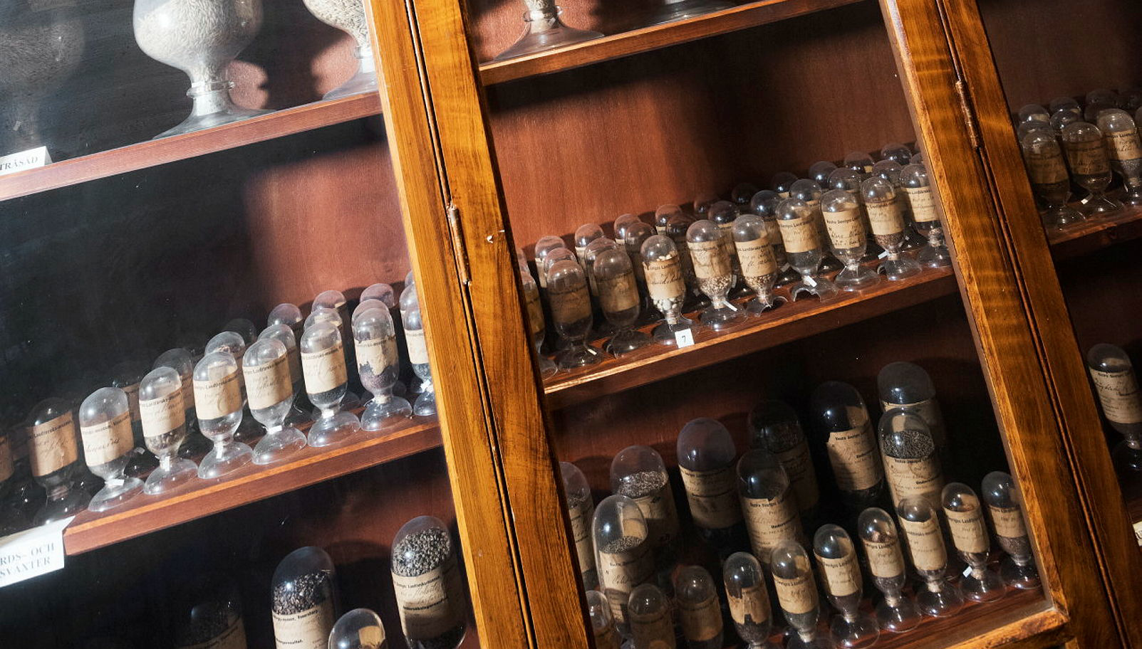 Monter med frö-burkar.