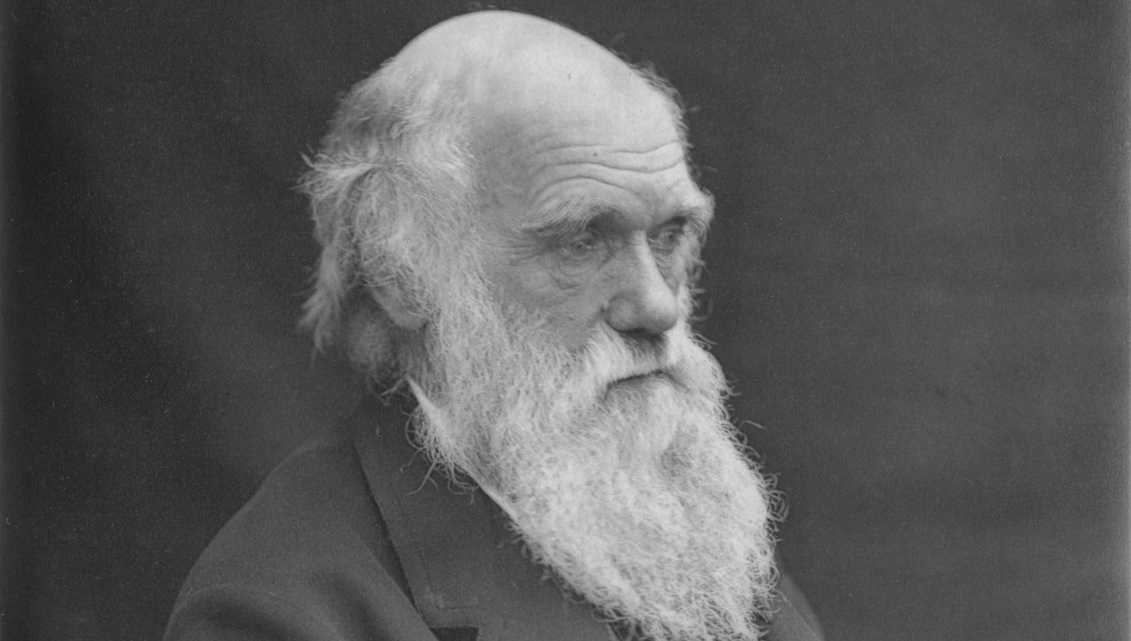 Porträtt på Charles Darwin